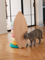 drySurf Balance Board Set